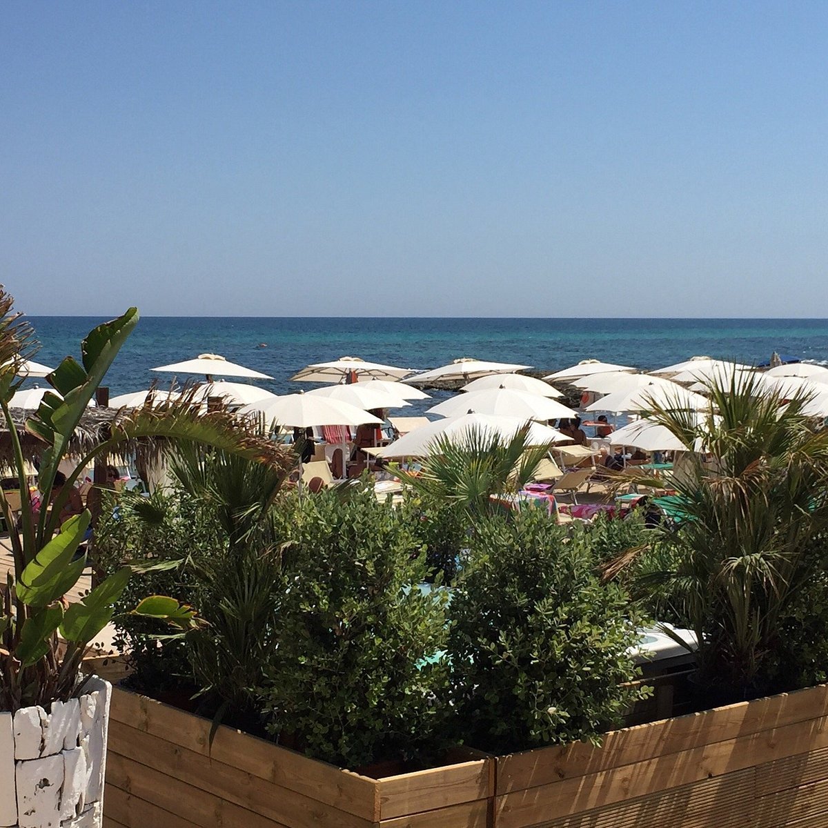 🏖️ 리도 비안코 비치 클럽